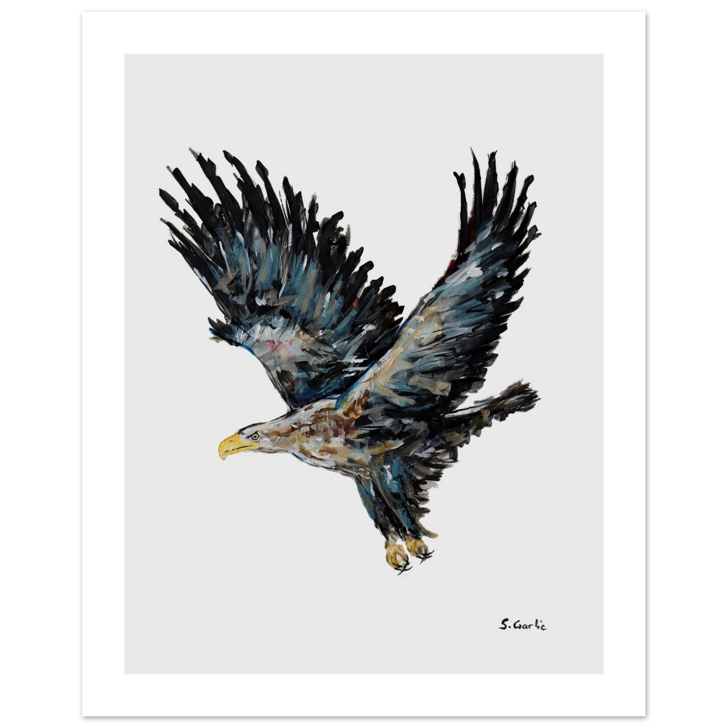 5636156a-1601-4cf8-8fb9-50949532255b