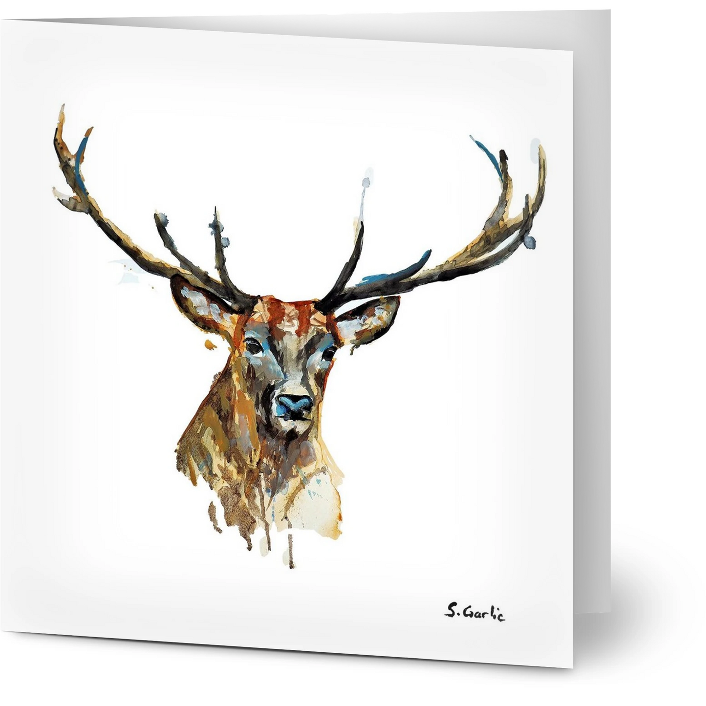 b6a5d800-358e-4207-b9ae-322ee7b50271