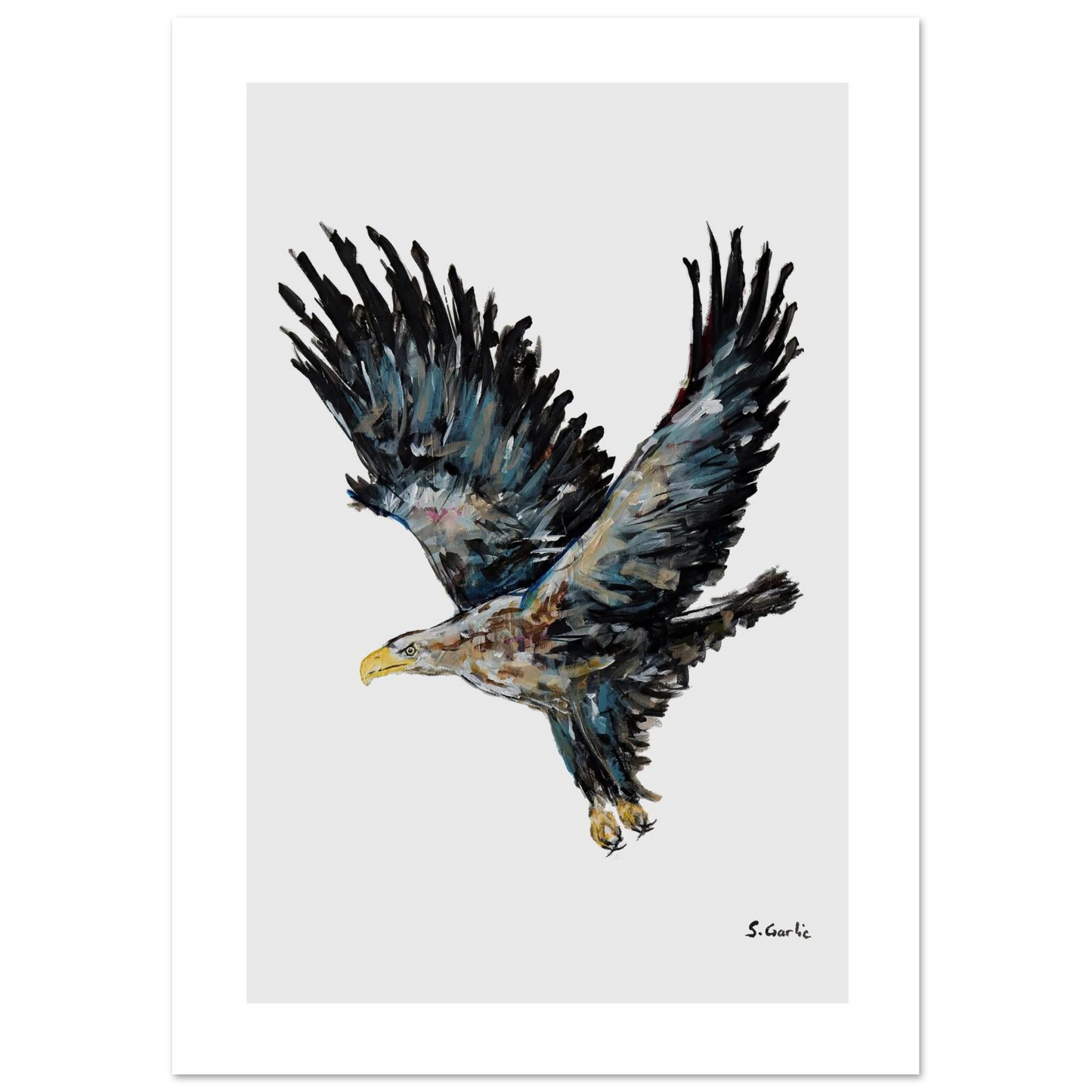 cc087592-021f-4adf-8760-cf5a15d4f249