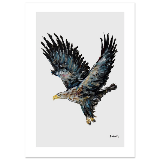 cc087592-021f-4adf-8760-cf5a15d4f249
